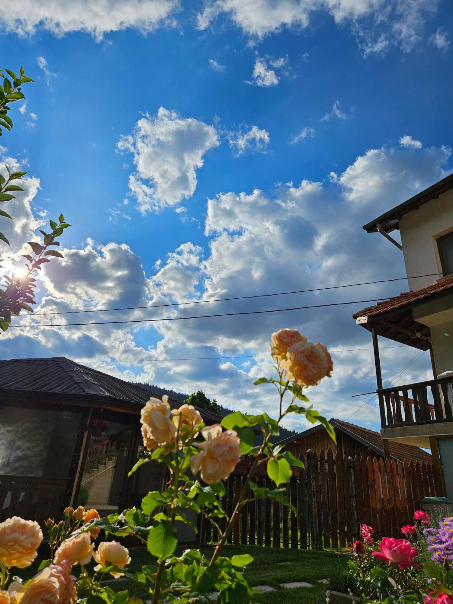 Юндовата Къща Villa Beli Iskar Exterior photo