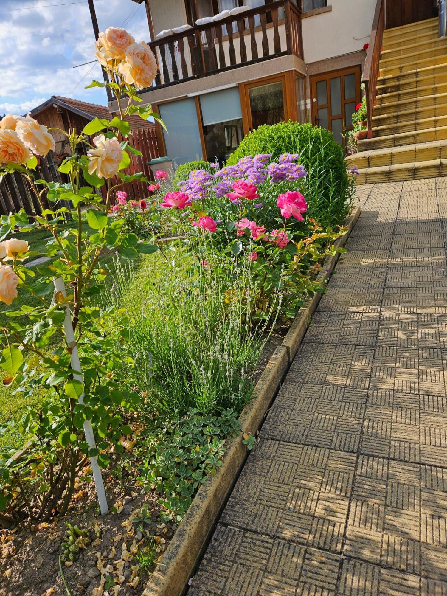 Юндовата Къща Villa Beli Iskar Exterior photo